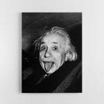 Paveikslas Einšteino Liežuvis (JG00001476)