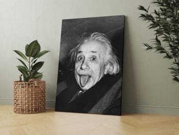 Paveikslas Einšteino Liežuvis (JG00001476) - Image 2