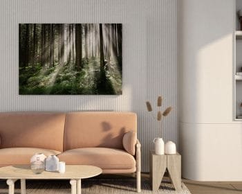 Įspūdingas Saulėtekis miške (JG00000080) - Image 4