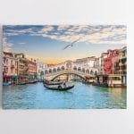 Skrendanti Žuvėdra Venecijos kanale (JG00000119)