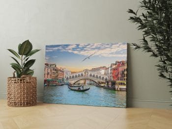 Skrendanti Žuvėdra Venecijos kanale (JG00000119) - Image 2