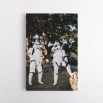 Šturmuotojai gamtoje (Stormtroopers) (JG00001168)