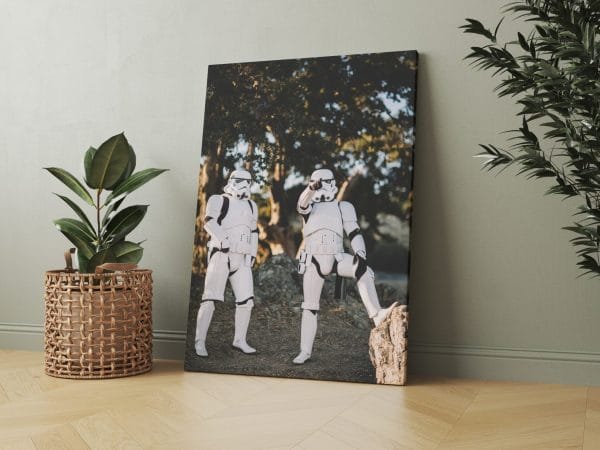 Šturmuotojai gamtoje (Stormtroopers) (JG00001168) - Image 2