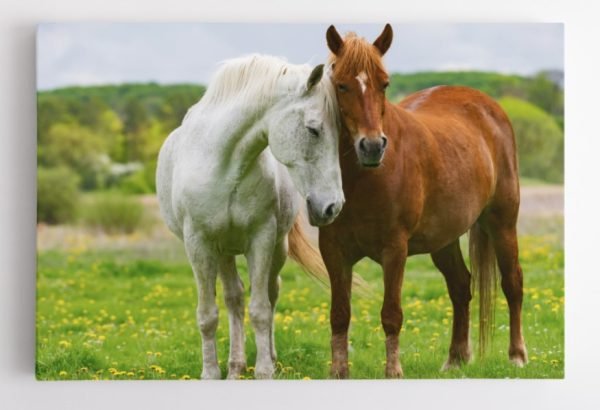 Miela Žirgų pora (JG00001341) - Image 3