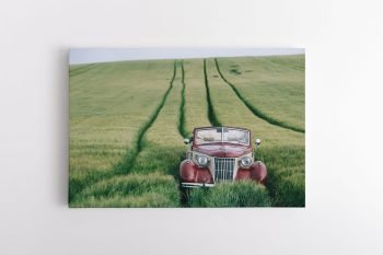 Retro automobilis laukuose (JG00001403)