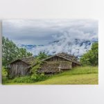 Gyvenimas kalnuose (JG00001443)