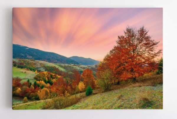 Rudens Kraštovaizdis (JG00000147) - Image 3