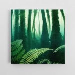 Nuostabus paparčių miškas (JG00000156)