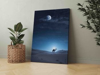 Kupranugaris nakties dykumoje (JG00002264) - Image 2