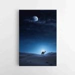 Kupranugaris nakties dykumoje (JG00002264)