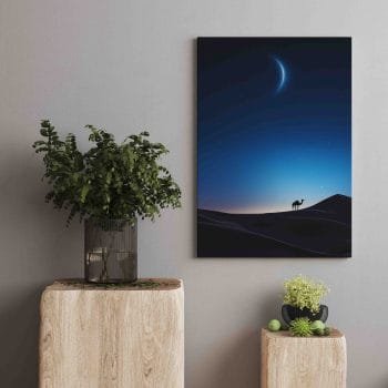 Kupranugario siluetas nakties dykumoje (JG00002265) - Image 2