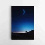 Kupranugario siluetas nakties dykumoje (JG00002265)