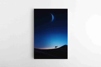 Kupranugario siluetas nakties dykumoje (JG00002265)