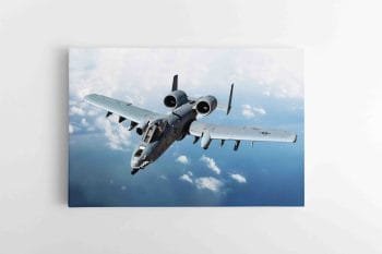 Šturmo Lėktuvas A-10C Thunderbolt II (JG00002295)