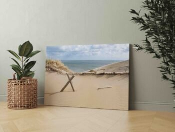 Naglių gamtinis rezervatas Neringoje (JG00002325) - Image 2