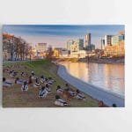 Antytės Vilniaus Neries pakrantėje (JG00002331)