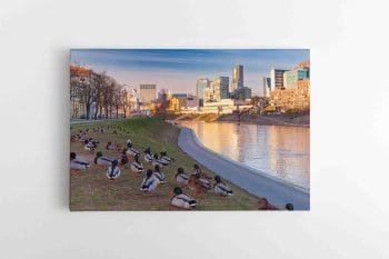 Antytės Vilniaus Neries pakrantėje (JG00002331)