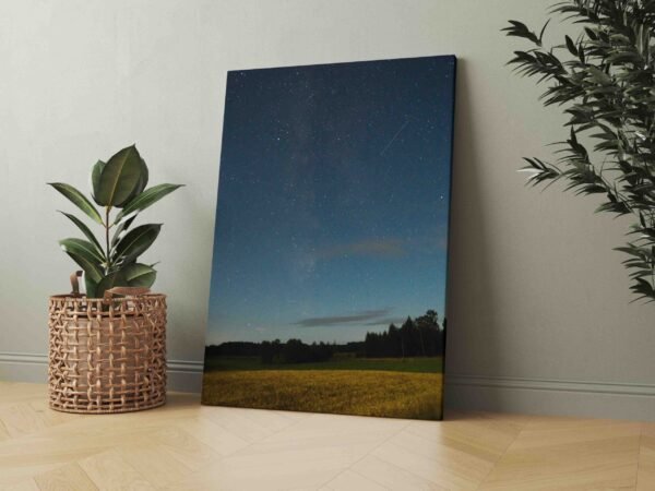 Nuostabus vakaras Lietuvoje (JG00002336) - Image 3