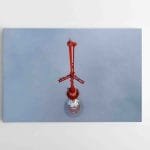 Vilniaus Televizijos Bokštas rūke (JG00002409)