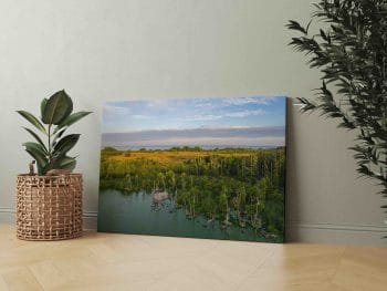 Plocio ežeras su vaizdu į Jūrą (JG00002411) - Image 2