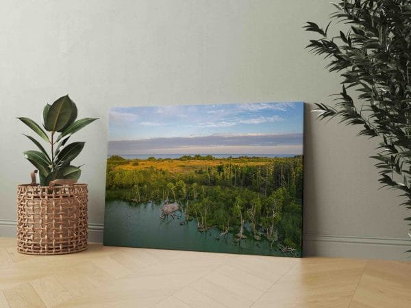 Plocio ežeras su vaizdu į Jūrą (JG00002411) - Image 2