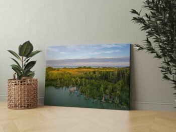 Plocio ežeras su vaizdu į Jūrą (JG00002411) - Image 2