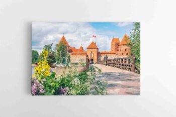 Trakų Pilis gėlese (JG00002417)