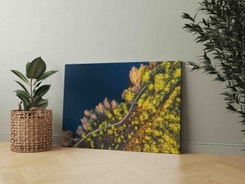 Mūšos tyrelio pažintinis takas (JG00002428) - Image 2