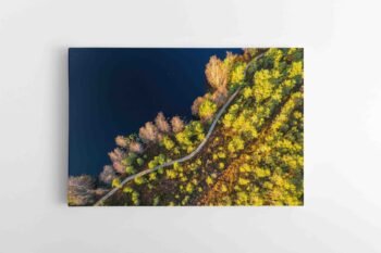 Mūšos tyrelio pažintinis takas (JG00002428)