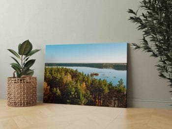 Baltieji Lakajai Labanore (JG00002430) - Image 2