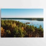 Baltieji Lakajai Labanore (JG00002430)