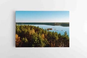 Baltieji Lakajai Labanore (JG00002430)