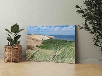 Naglių rezervatas Neringoje (JG00002439) - Image 2