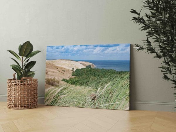 Naglių rezervatas Neringoje (JG00002439) - Image 2