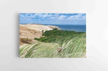 Naglių rezervatas Neringoje (JG00002439)