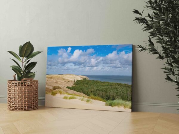 Naglių rezervatas Neringoje 2 (JG00002440) - Image 2