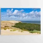 Naglių rezervatas Neringoje 2 (JG00002440)