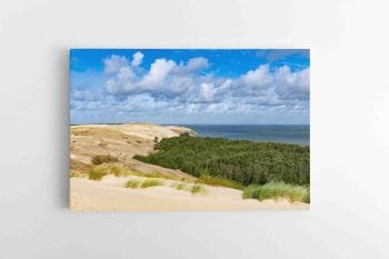 Naglių rezervatas Neringoje 2 (JG00002440)