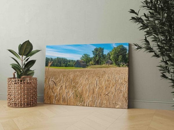 Auksiniai Rugiai Lietuviškame kaime (JG00002441) - Image 2