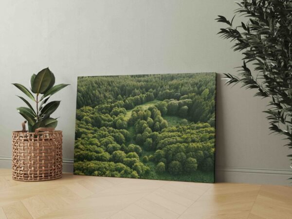 Paslaptingas Lietuvos miškas (JG00002442) - Image 3