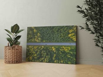 Kelias Tarp miškų (JG00002460) - Image 2