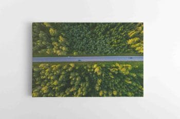 Kelias Tarp miškų (JG00002460)