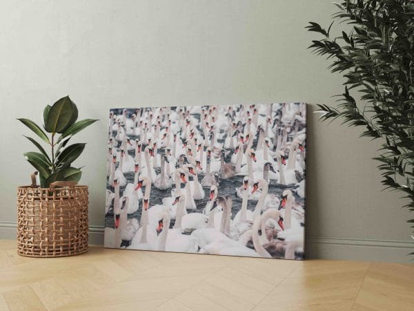 2485-1 Gulbių Pulkas (JG00002485) - Image 2