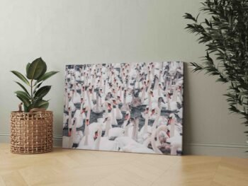 Gulbių Pulkas (JG00002485) - Image 2