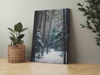 Žiemiško miško takeliais (JG00002486) - Image 4