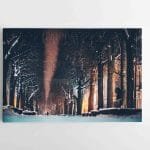 Žiemiška Laisvės Alėja (JG00002487)