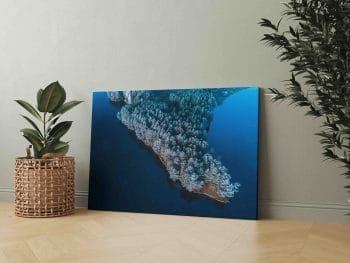 Žiemiškas Lietuvos gamtos vaizdas (JG00002489) - Image 2