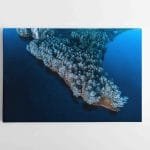 Žiemiškas Lietuvos gamtos vaizdas (JG00002489)