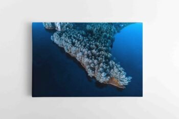 Žiemiškas Lietuvos gamtos vaizdas (JG00002489)