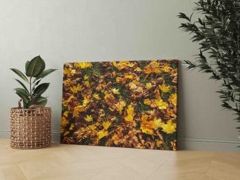 Rudeninių lapų paklodė (JG00002495) - Image 3